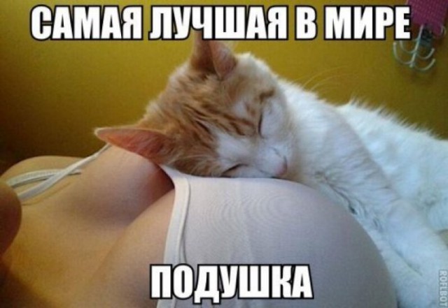 Прикольные картинки абавсём