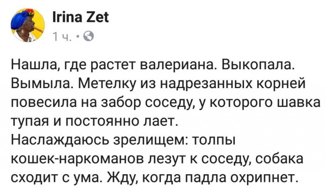 Немного веселых картинок из этих наших интернетов
