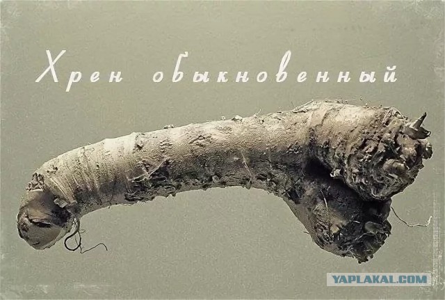 Учим уроки