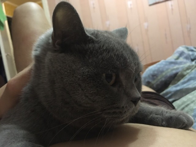 Немного милоты