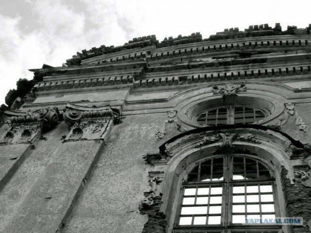 любительская фотография