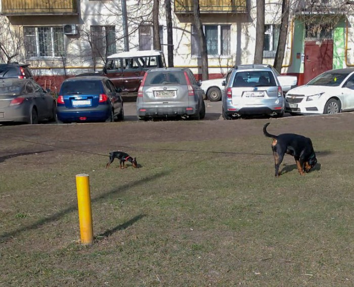 Фотоинтерсности