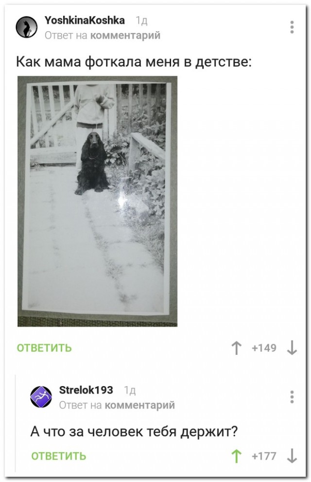 Нестандартный юмор