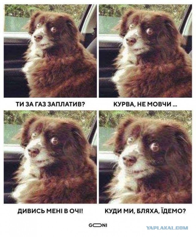Подсчитана доля желающих покинуть Россию