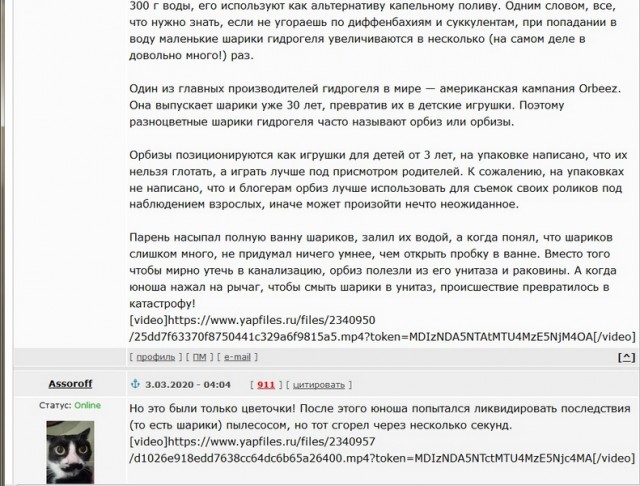 Блогер насыпал в ванну шарики гидрогеля и сломал канализацию во всем районе/