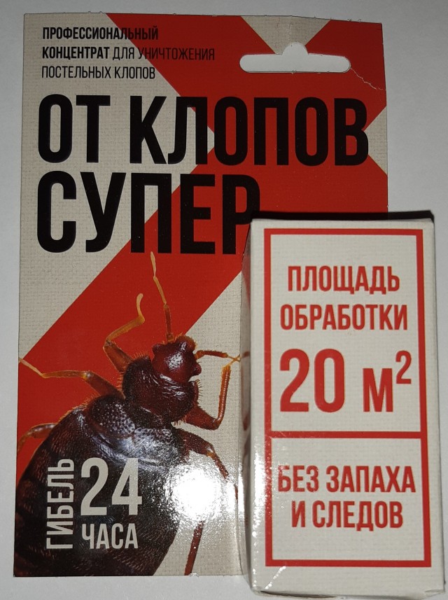 Постельный клоп