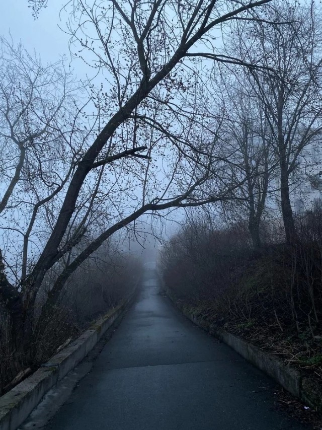 Утренняя Пермь 27.04.2020