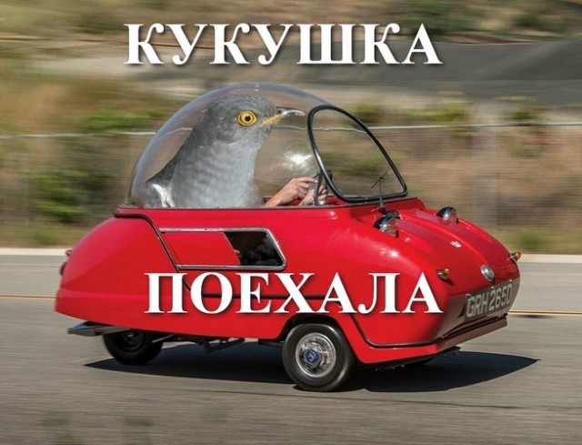 Немного картинок для настроения 30.04.20