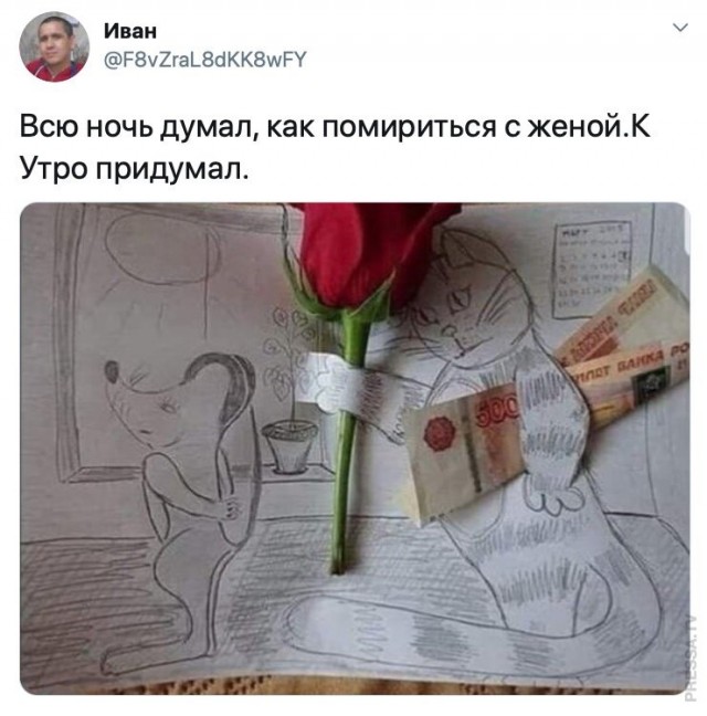 Немного картинок для настроения 09.11.20