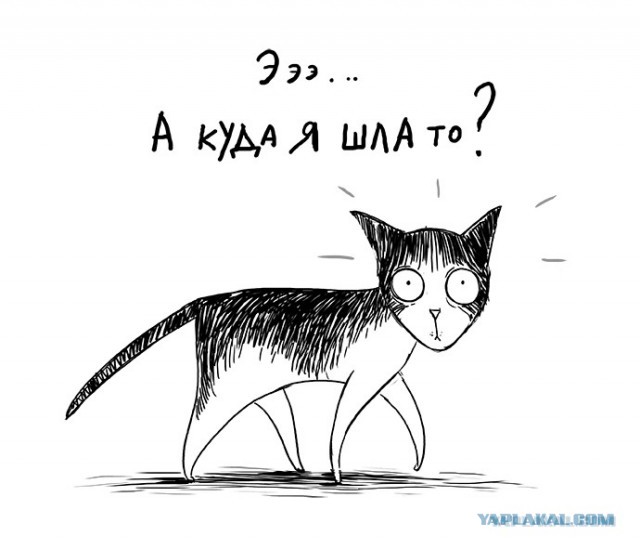 Картинки 19.01.21