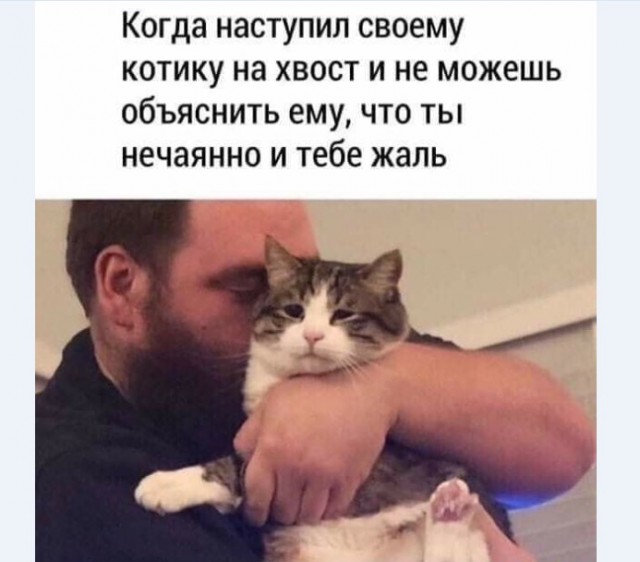 Картинки и мемы для настроения 017