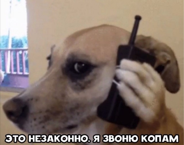 Зашёл в магазин для казаков и посмотрел почём там бурки, шашки, нагайки и медальки