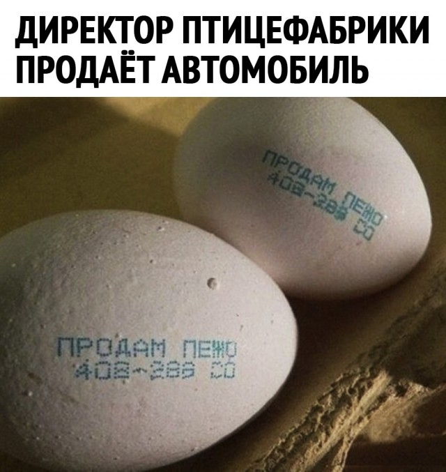 Картинки и мемы для настроения