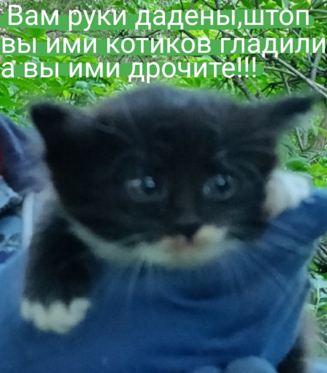 Дочь Алёнки выходит замуж