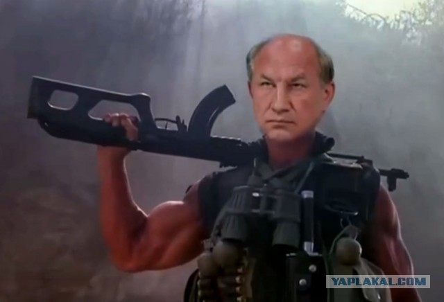 Лось ударил копытами маленькую девочку во время экскурсии в нацпарке "Зюраткуль" в Челябинской области