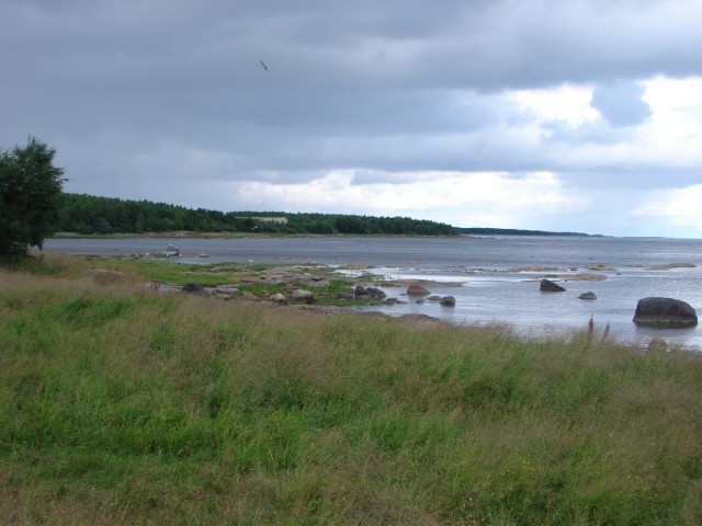 Сплав по р.Охта в 2008 году.