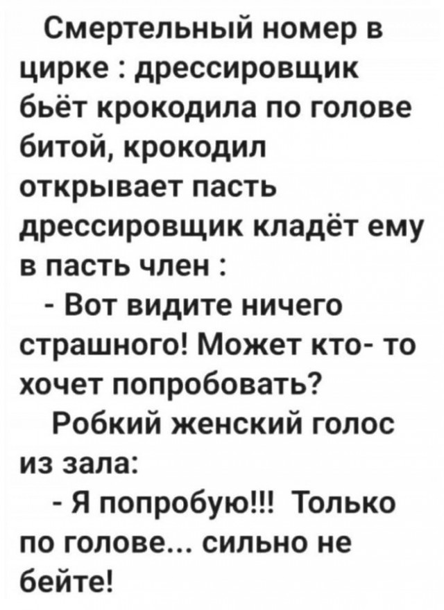 Чуток картинок 04.02.22