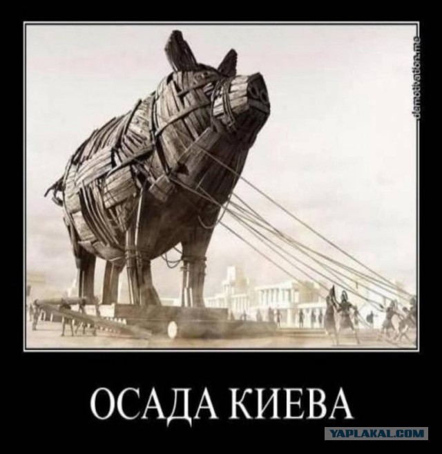 Украина сегодня
