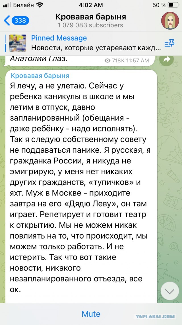 Финита ля комедия - трезвый взгляд на российские реалии от Шнура