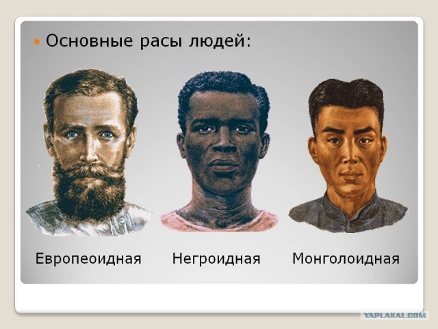 После третьей мировой