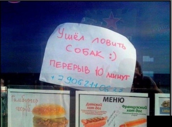 Забавные шутки, фразы, картинки из этих ваших интернетов