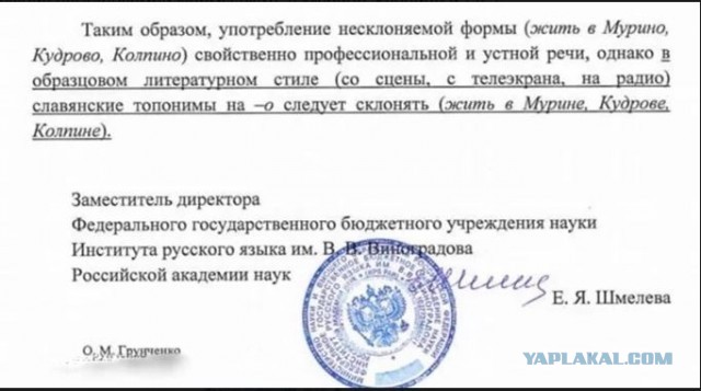 В Колпине велосипедистка резко сменила курс на пешеходном переходе и протаранила Крету