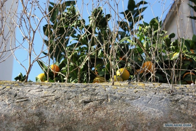 Галопом по Европам.