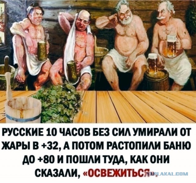 Мой сборник баянов