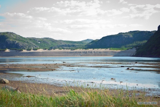 Териберка и окрестности...