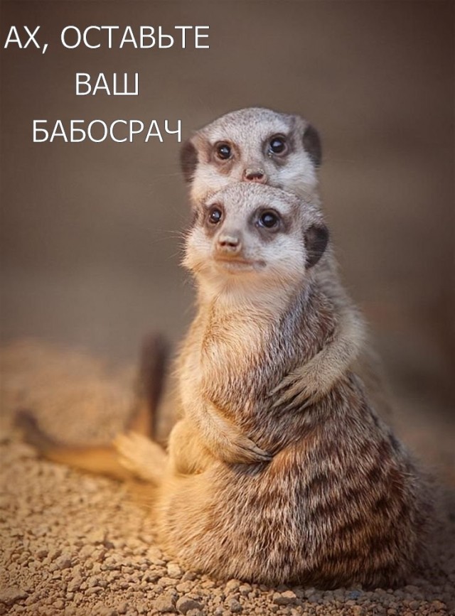 - Зачем брать ипотеку, когда теща одна в трешке? Разменяйтесь и хватит нам на однушку, - не успокаивается муж