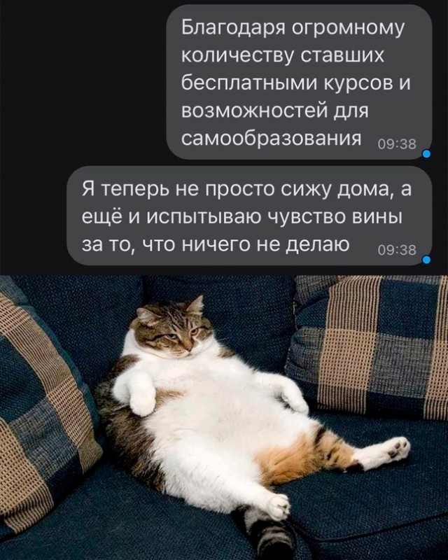 Выходные продолжаются картинки