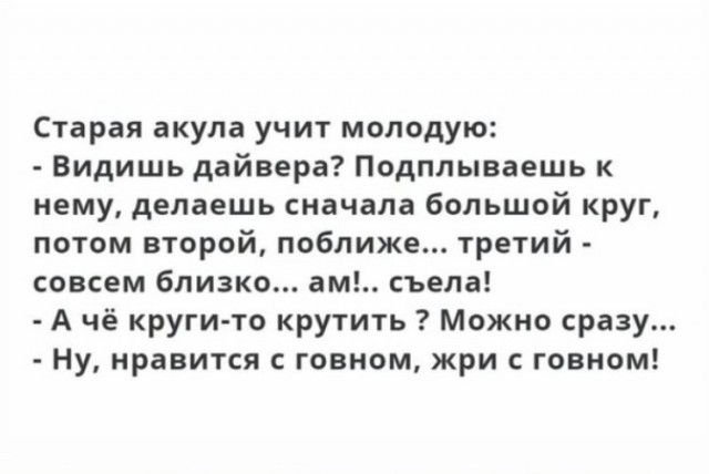 Косатки устроили тюленю весёлый аттракцион