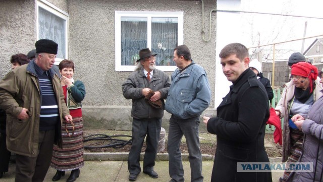 Крым в феврале или "Не стреляйте в белых лебедей!"