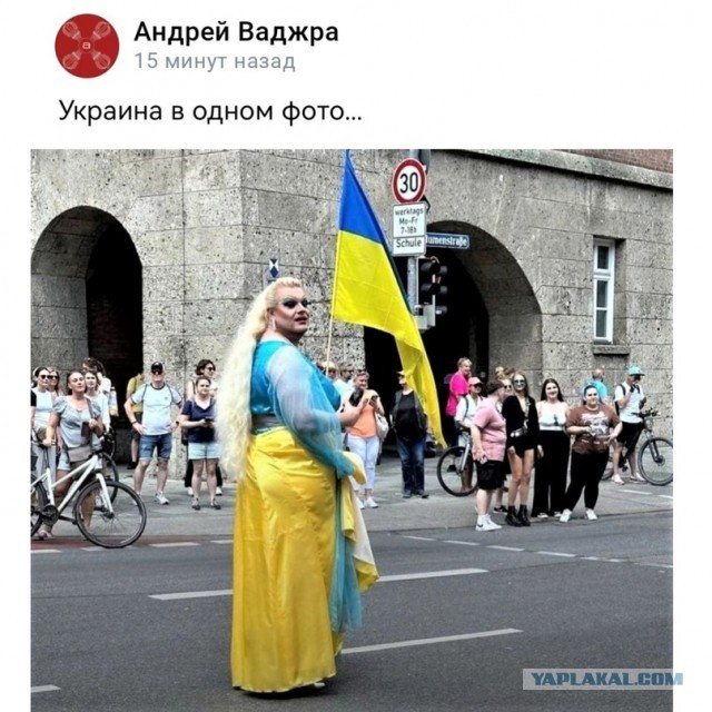 В США наличие украинского флага в машине является признаком слабоумия