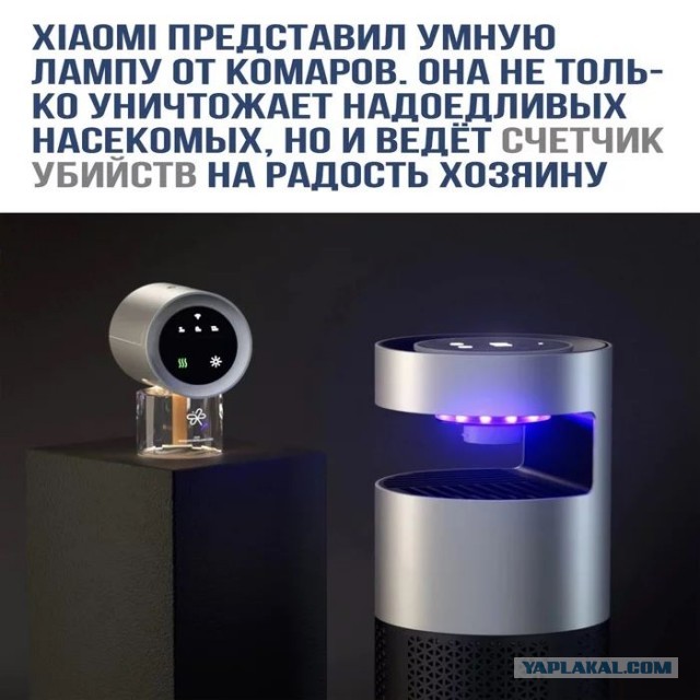 Отзыв на мухобойку