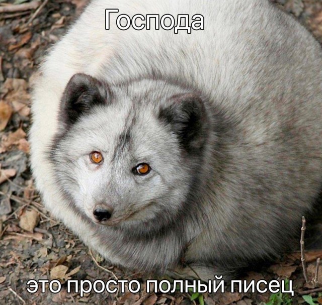 Так себе картинки 01.08.23