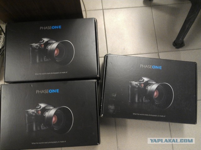 Canon или Nikon?
