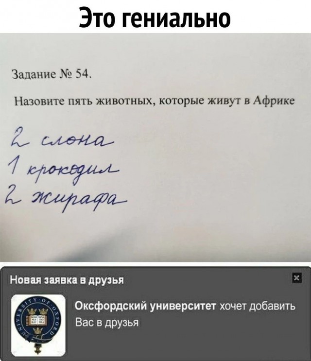 Весёлый полтишок 01.11.23