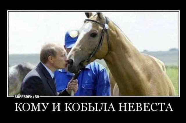 В поисках милфы: женщины от 35 лет, которые сейчас нарасхват