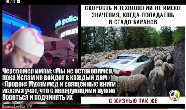 В Москве пассажир наорал на контролёров за то, что его не выпускали из автобуса, потому что он не оплатил проезд.