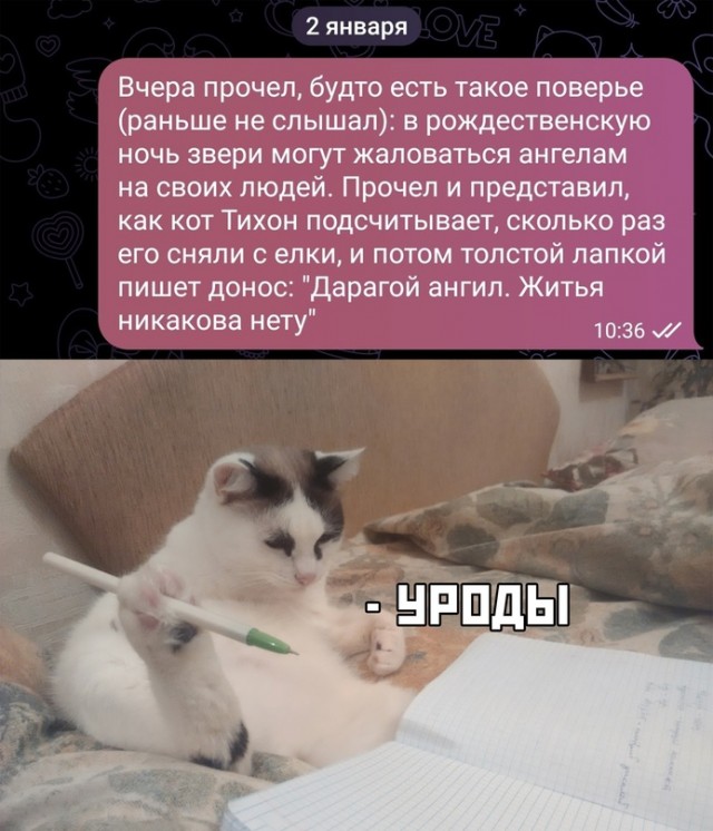 Весёлый полтишок 02.01.24