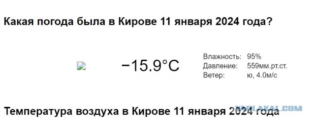 Проводница разлучила хозяина с котом