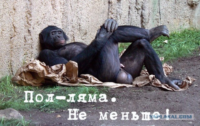Аукционы на сотрудников