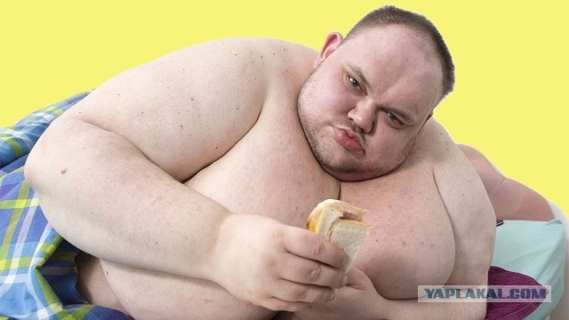 Ну здесь победитель очевиден