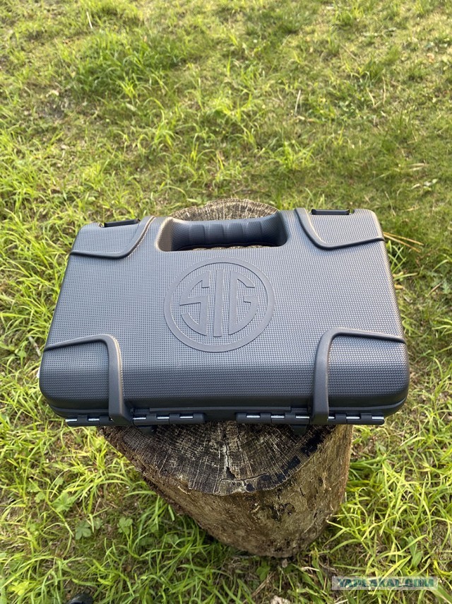 Sig Sauer P365