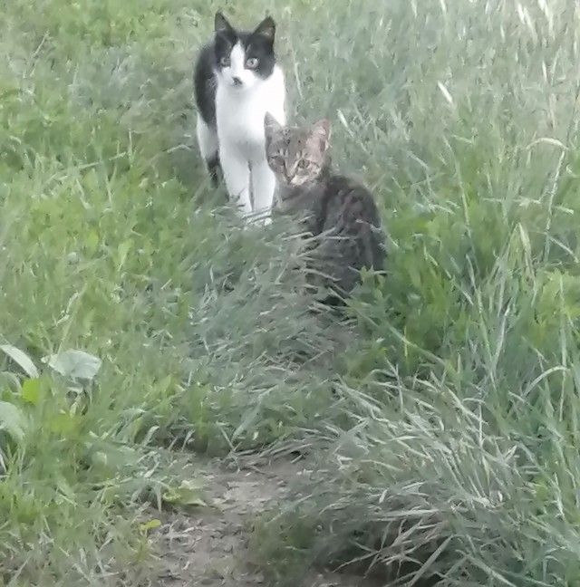 Спокойной ночи