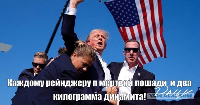 Американским рейнджерам запретили взрывать мертвых лошадей