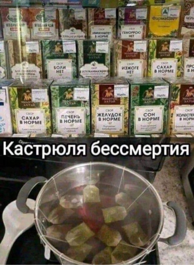 Весёлый полтишок 10.12.24