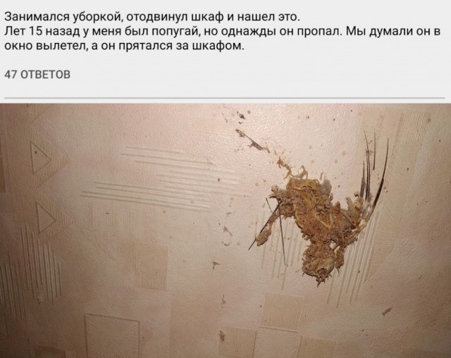 Отсутствие морально этических норм Vol.6
