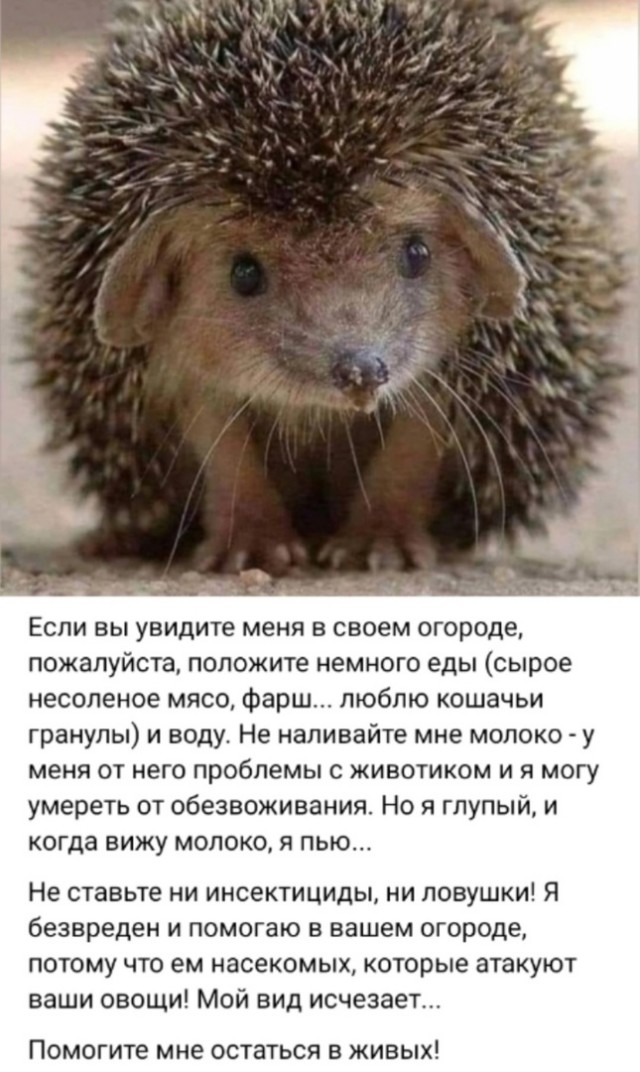 Так себе картинки 12.05.25